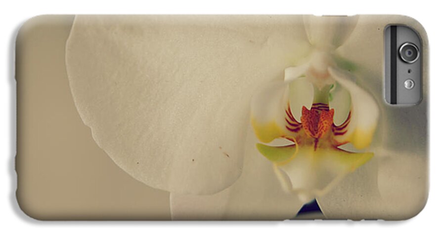 Orchids iPhone 6s Plus Case featuring the photograph What Love Felt Like by Laurie Search