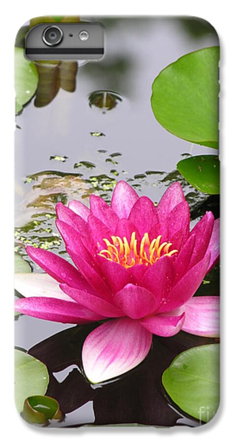 Lily iPhone 6s Plus Case featuring the photograph Pink Lily Flower by Diane Lesser