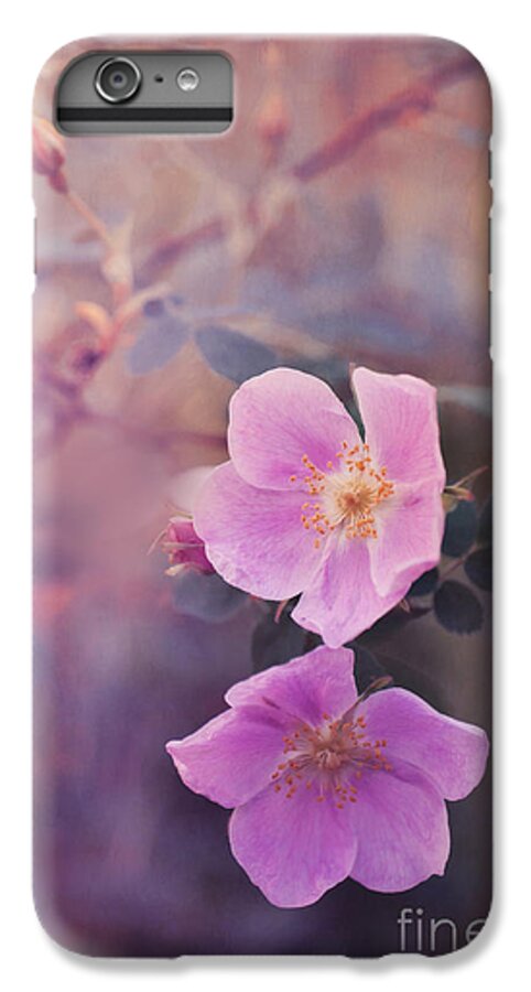 Rosa Acicularis iPhone 6s Plus Case featuring the photograph Prickly Rose by Priska Wettstein