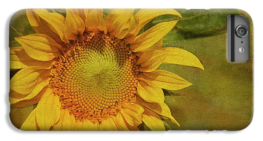 Sunflower iPhone 6s Plus Case featuring the photograph Sunflower #1 by Cindi Ressler