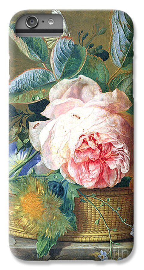 Huysum iPhone 6s Plus Case featuring the painting A Basket with Flowers by Jan van Huysum