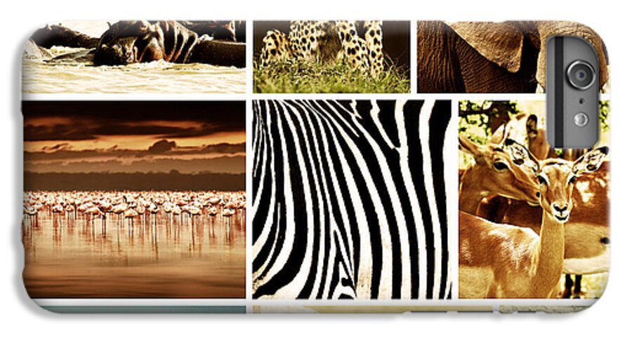 African Animals Safari Collage Iphone 6s Plus Case For Sale By Anna Om