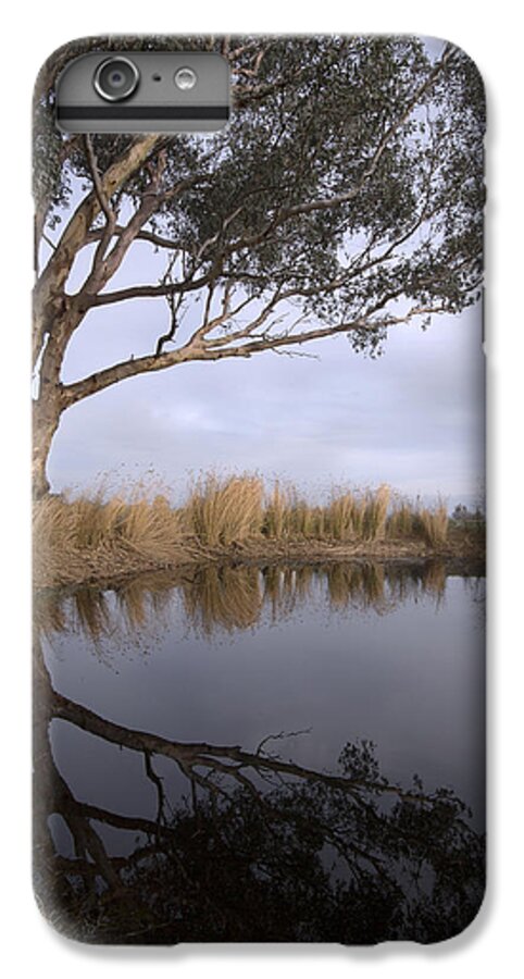 Eucalyptus iPhone 6s Plus Case featuring the photograph Dam by Linda Lees