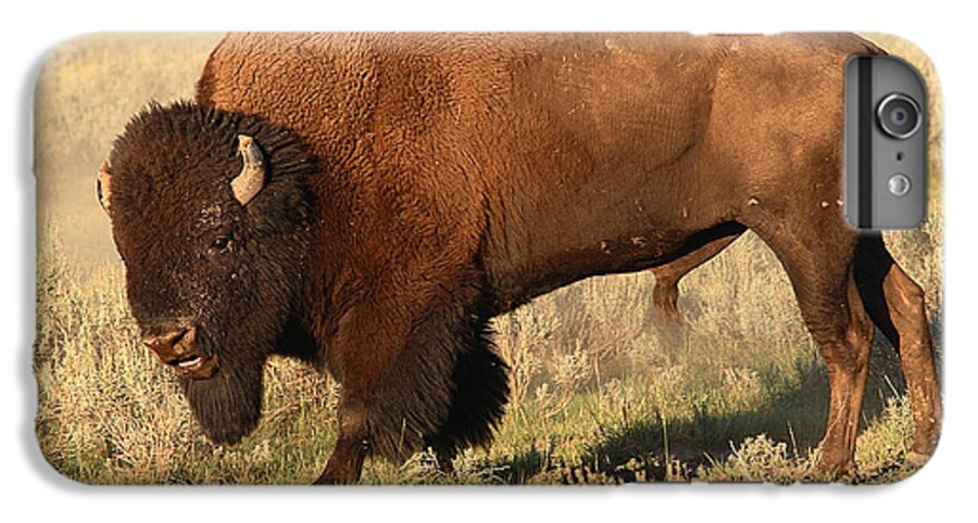 Bison iPhone 6s Plus Case featuring the photograph Bison Huffing And Puffing For Herd by Max Allen