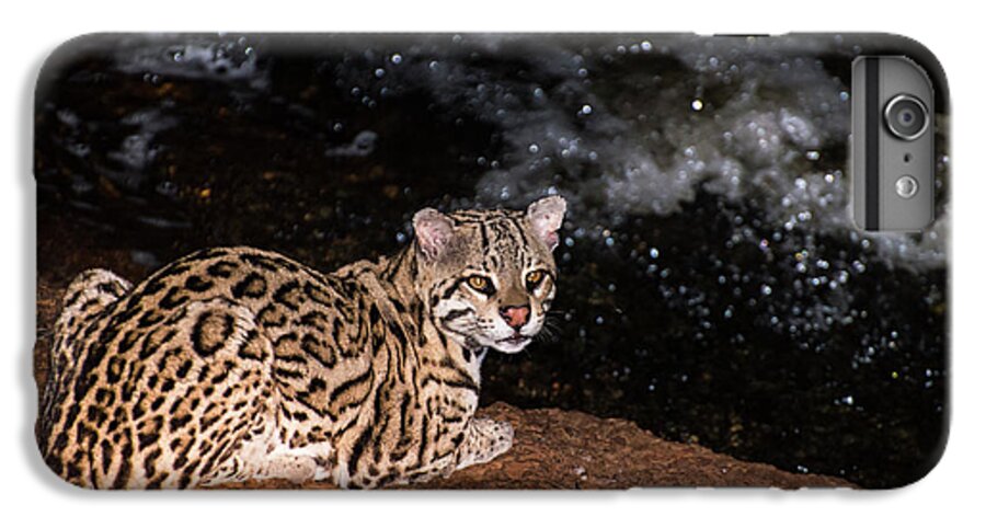 Ocelot iPhone 6s Plus Case featuring the photograph Fishing in the Stream by Alex Lapidus