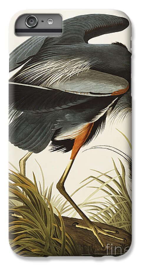 #faatoppicks iPhone 6s Plus Case featuring the drawing Great Blue Heron by John James Audubon