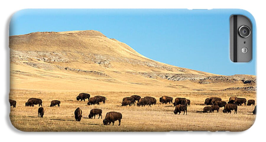 Buffalo iPhone 6s Plus Case featuring the photograph Great Plains Buffalo by Todd Klassy