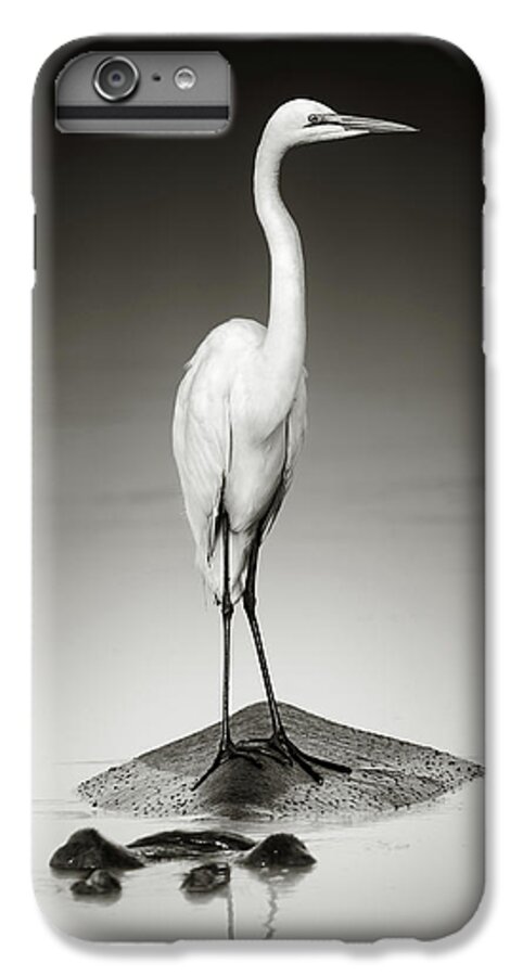 #faatoppicks iPhone 6s Plus Case featuring the photograph Great white egret on Hippo by Johan Swanepoel