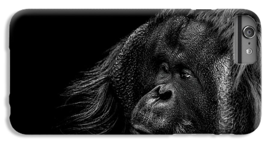 Orangutan iPhone 6s Plus Case featuring the photograph Respect by Paul Neville