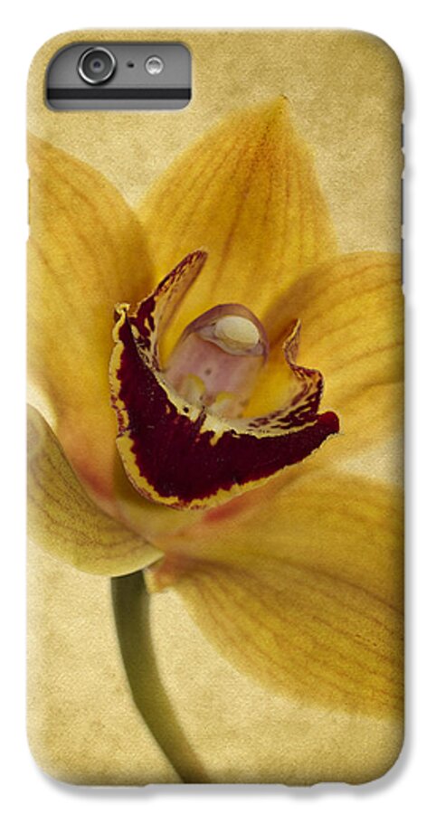 Orchid iPhone 6s Plus Case featuring the photograph Singular Sensation by Rebecca Cozart