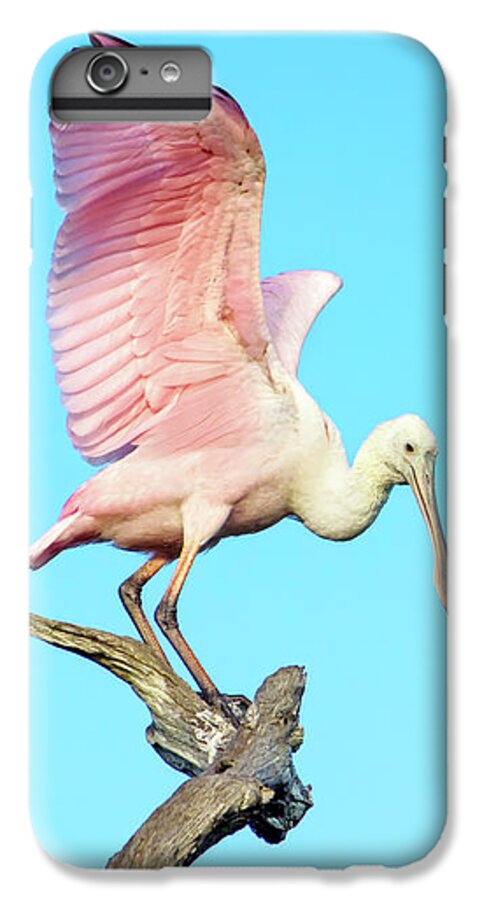 Roseate Spoonbill iPhone 6s Plus Case featuring the photograph Spoonbill Flight by Mark Andrew Thomas