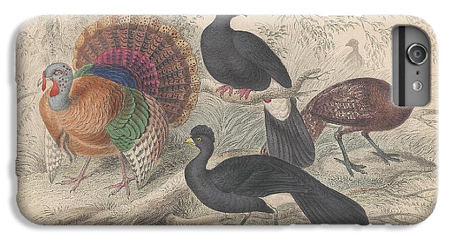 Antique Prints iPhone 6s Plus Case featuring the drawing Turkeys by Dreyer Wildlife Print Collections 