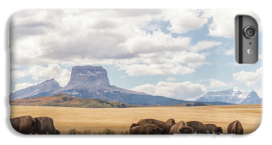North iPhone 6s Plus Case featuring the photograph Where the Buffalo Roam by Alex Lapidus