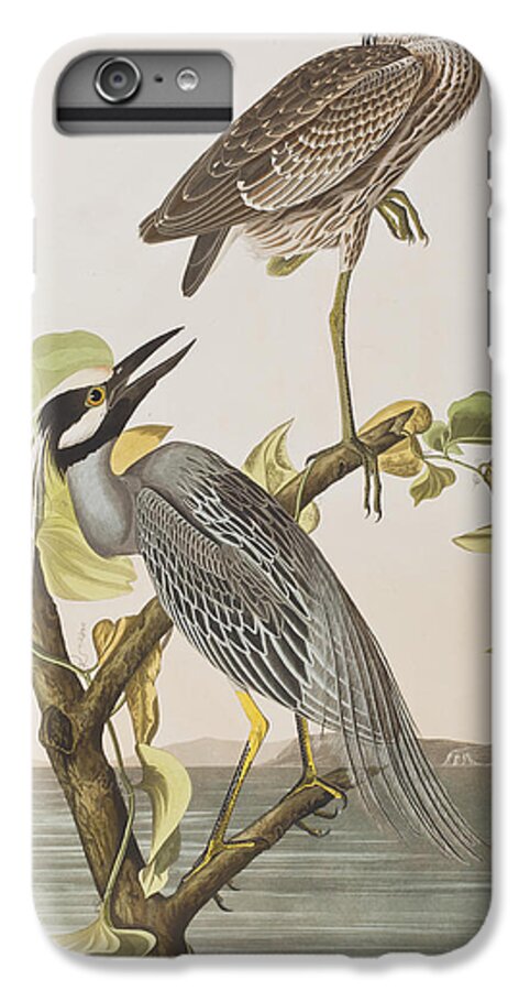 Audubon iPhone 6s Plus Case featuring the painting Yellow Crowned Heron by John James Audubon