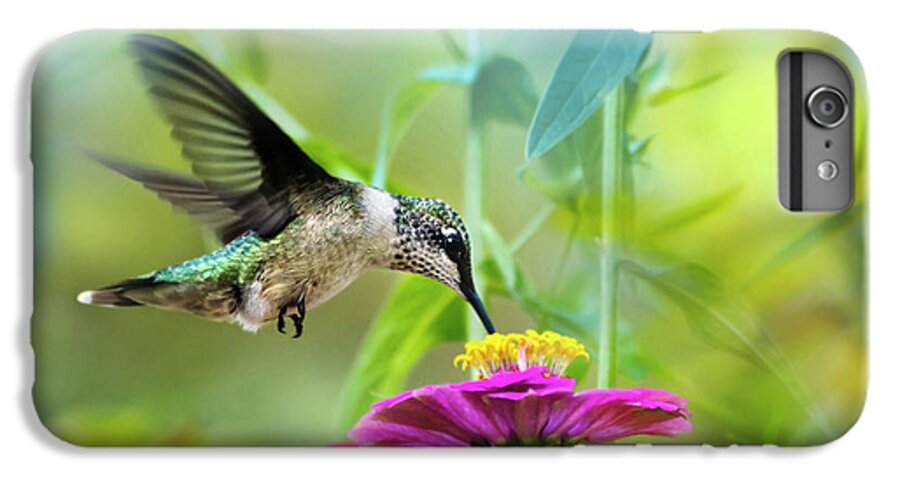 Hummingbird iPhone 6s Plus Case featuring the photograph Sweet Success by Christina Rollo