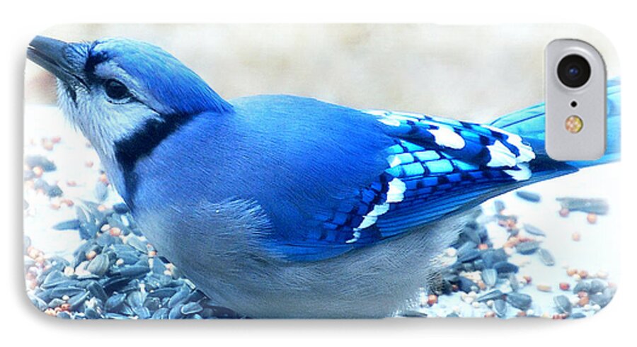 Landscape iPhone 7 Case featuring the photograph Bright Blue Jay by Peggy Franz