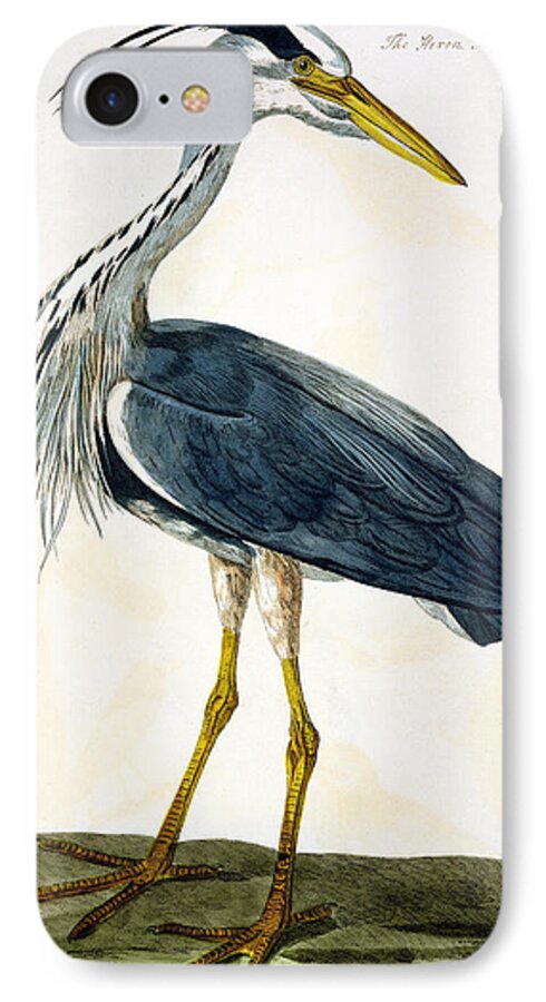 Freshwater Bird; Wader; Print iPhone 7 Case featuring the painting The Heron by Peter Paillou