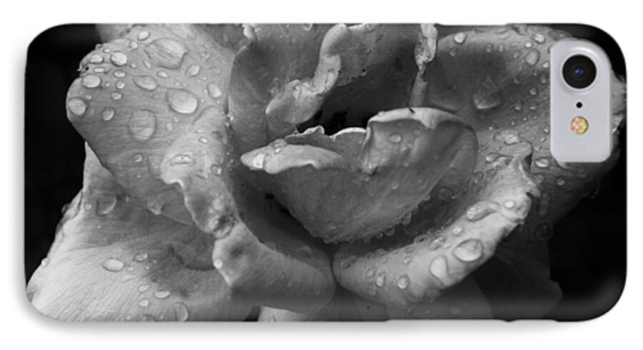 Biltmore Estate iPhone 7 Case featuring the photograph 05 Wet Rose by Ben Shields