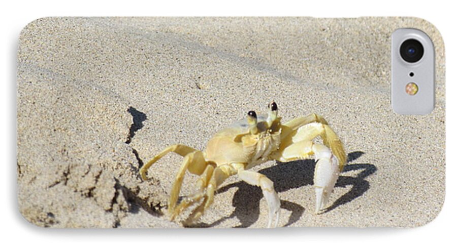 Crab iPhone 7 Case featuring the photograph Beach stroller #1 by Meagan Visser