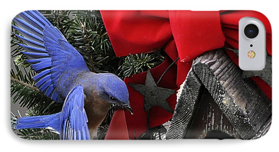 Nature iPhone 7 Case featuring the photograph Bluebird Christmas Wreath #1 by Nava Thompson