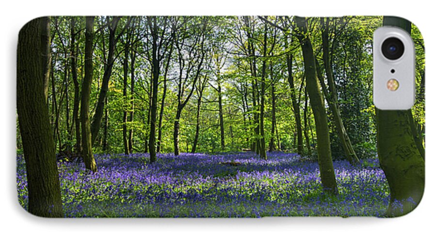Bluebells iPhone 7 Case featuring the photograph Chalet Wood Wanstead Park Bluebells #2 by David French