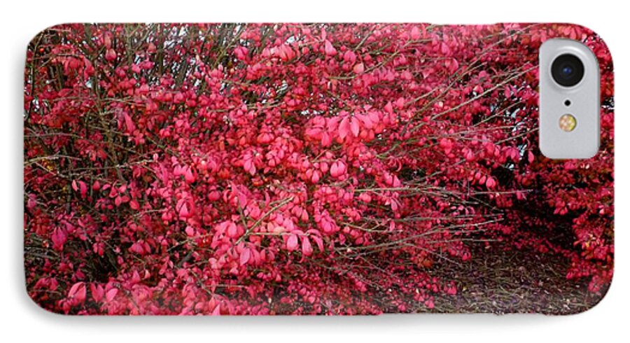 Plant iPhone 7 Case featuring the photograph Fire Bush #1 by Pete Trenholm