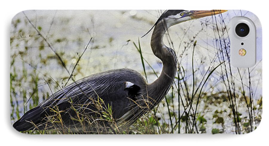 Heron iPhone 7 Case featuring the photograph Great Blue Heron #1 by Fran Gallogly