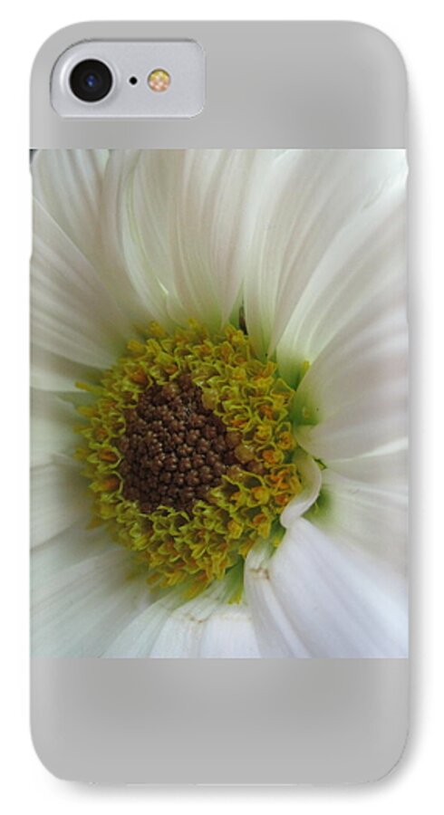 Floral iPhone 7 Case featuring the photograph Innocence #1 by Tara Shalton