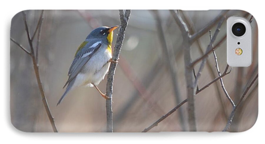 Northern Parula iPhone 7 Case featuring the photograph Northern Parula #1 by James Petersen