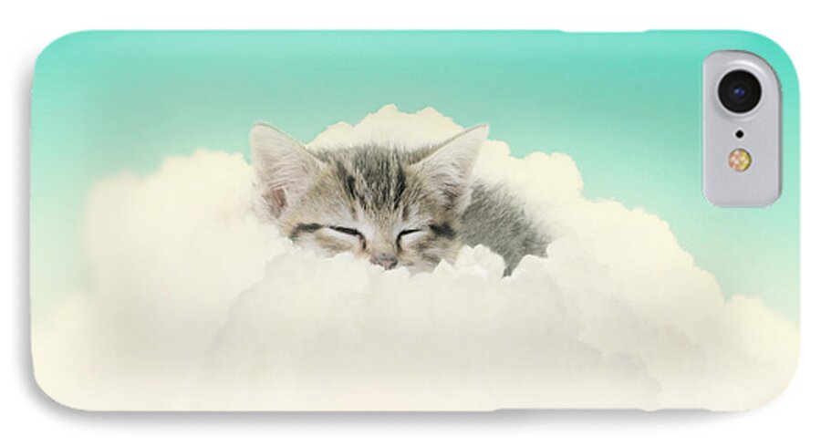 Kitten iPhone 7 Case featuring the photograph On Cloud Nine #1 by Amy Tyler
