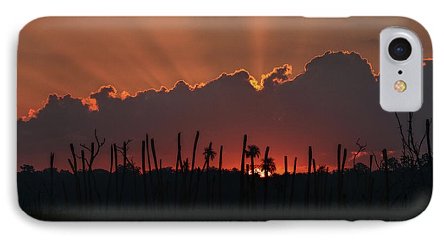 Orlando iPhone 7 Case featuring the photograph Orlando Wetlands Sunrise #2 by Dorothy Cunningham