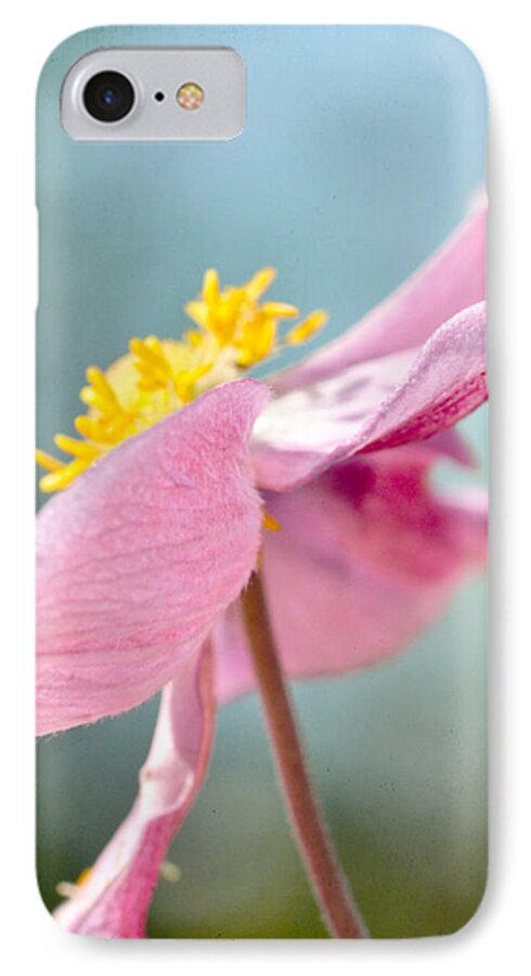 Japanese Anemone iPhone 7 Case featuring the photograph Reaching for the Sky #2 by Kerri Farley