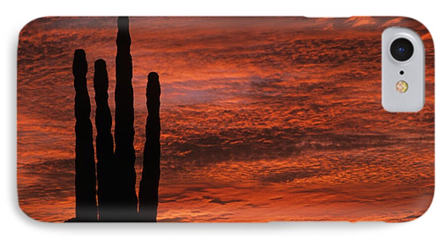 American Southwest iPhone 7 Case featuring the photograph Silhouetted saguaro cactus sunset at dusk with dramatic clouds #1 by Jim Corwin