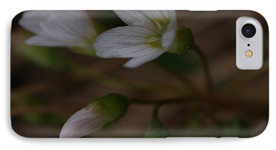 Flower iPhone 7 Case featuring the photograph Wildflower #1 by Loni Collins