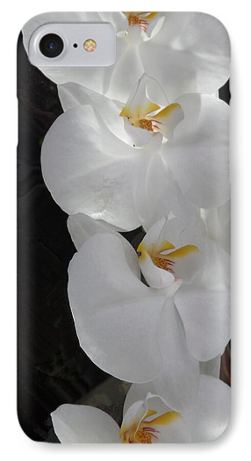 Beauty iPhone 7 Case featuring the photograph Orchids #14 by Xueyin Chen