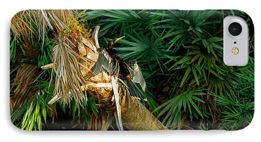 Photography iPhone 7 Case featuring the photograph Anhinga Anhinga Anhinga On A Tree #2 by Panoramic Images