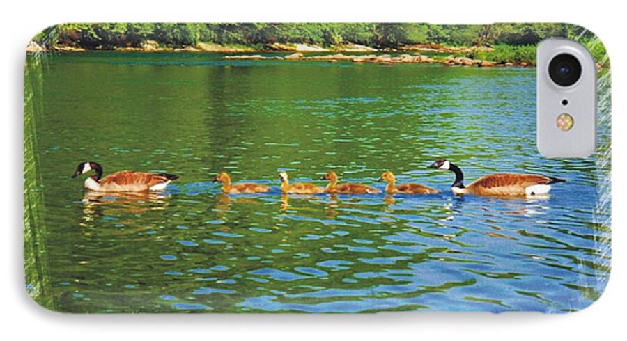 Canadian Geese iPhone 7 Case featuring the photograph Basic Training #2 by Joe Duket