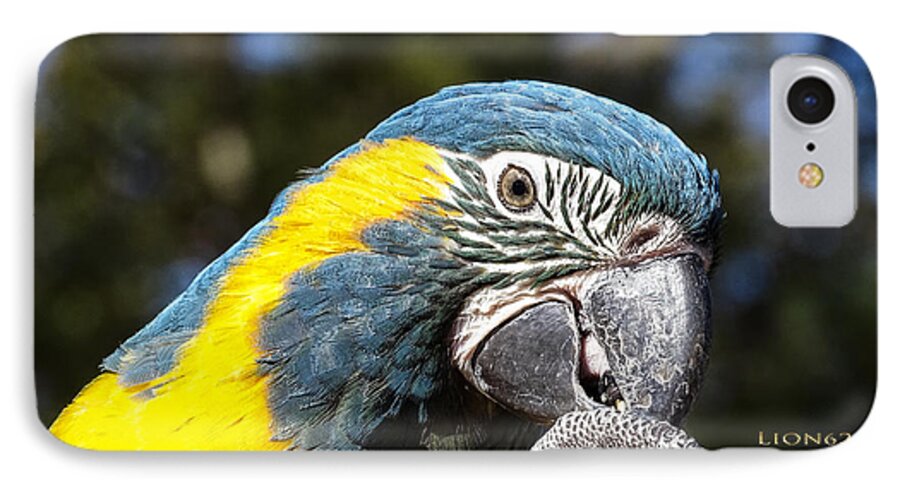 Bird iPhone 7 Case featuring the photograph Blue Throat Macaw #3 by Melissa Messick