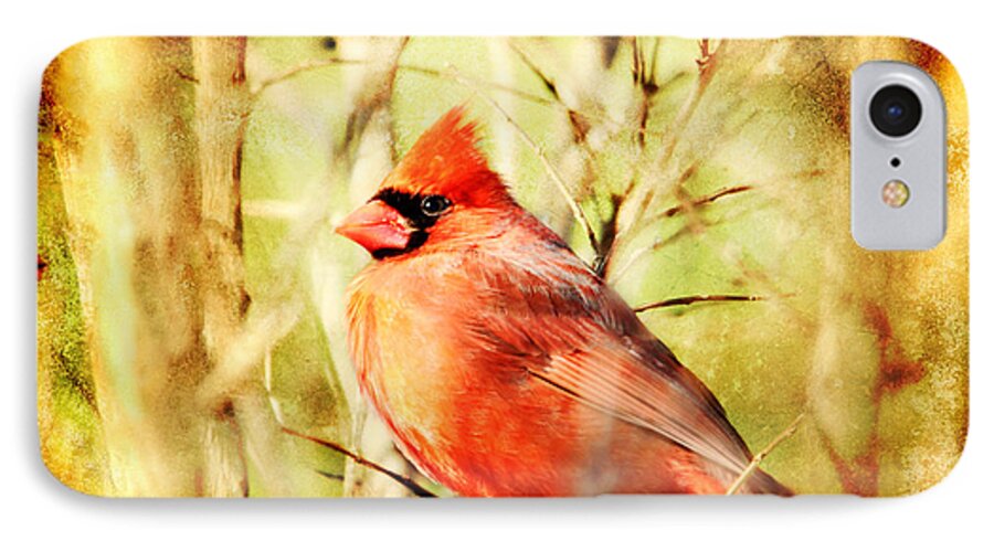 Cardinal iPhone 7 Case featuring the photograph Cardinal #1 by Trina Ansel