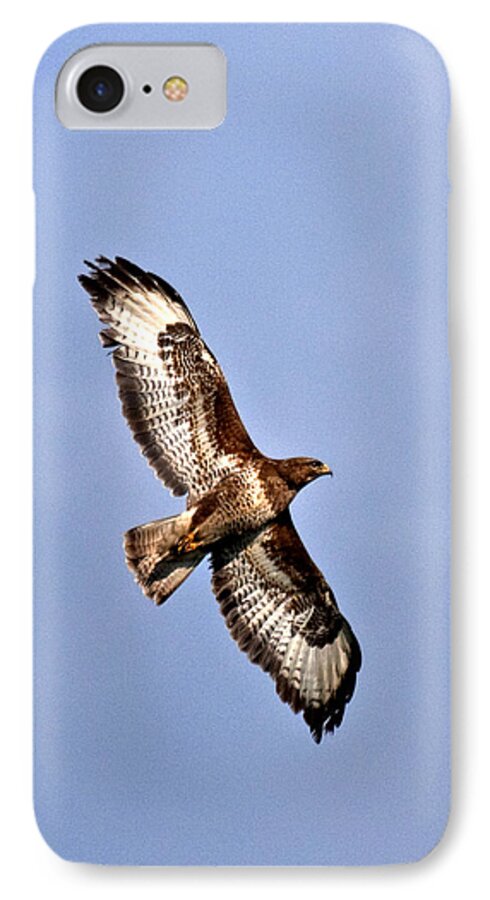 Raptor iPhone 7 Case featuring the photograph Common Buzzard #2 by Paul Scoullar
