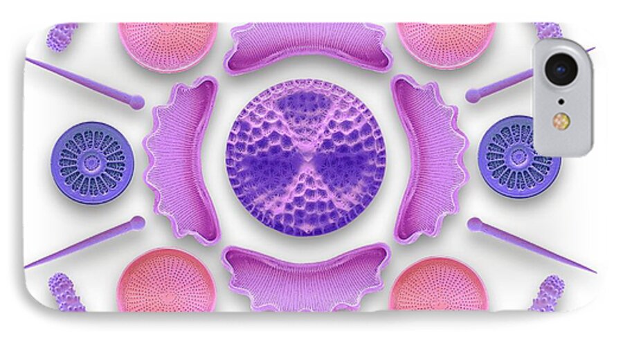 Alga iPhone 7 Case featuring the photograph Diatoms And Sponge Spicules #2 by Steve Gschmeissner
