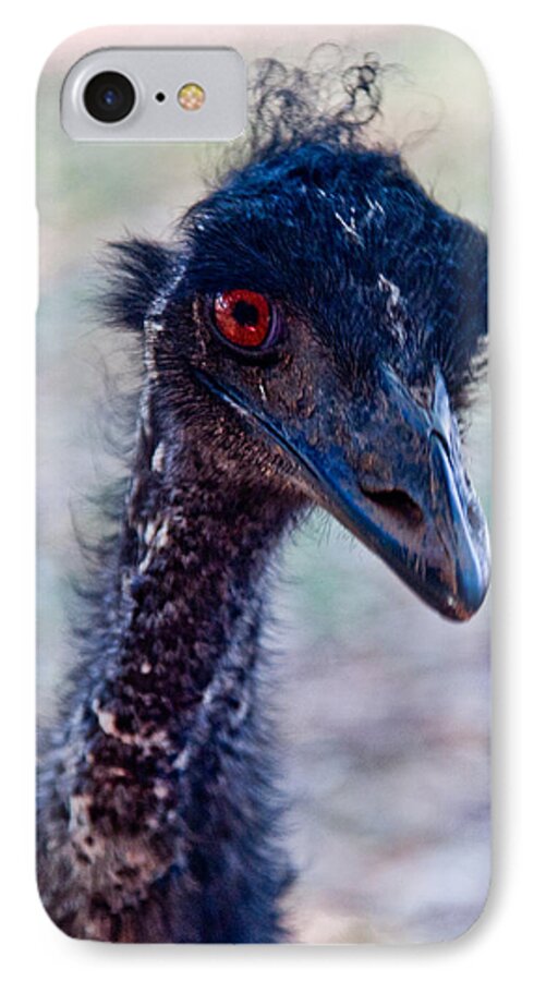 Flightless Bird iPhone 7 Case featuring the photograph Emu #2 by Carole Hinding
