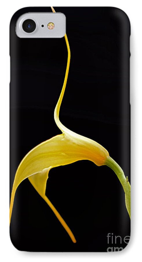 Floral Dancer iPhone 7 Case featuring the photograph Floral Dancer by Byron Varvarigos