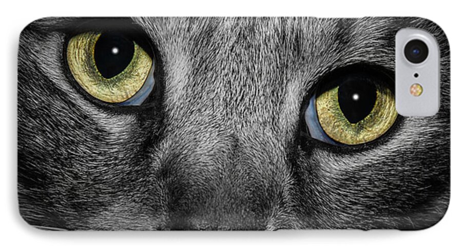 Close Up iPhone 7 Case featuring the photograph In a Cats Eye #2 by Doug Long