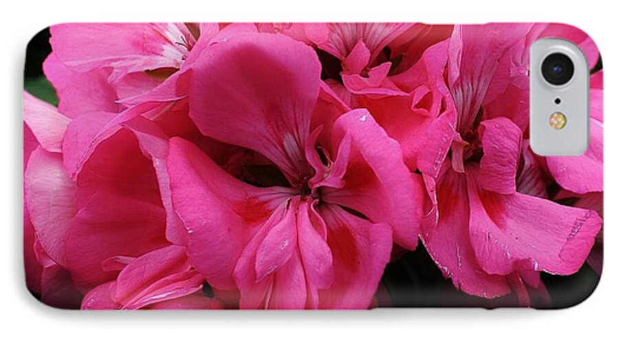Flora iPhone 7 Case featuring the photograph Pink Geranium #1 by Bruce Bley