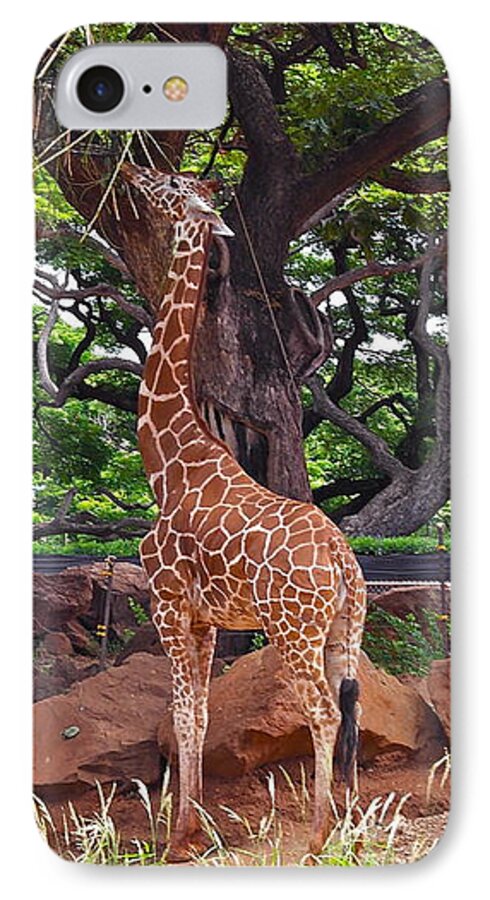 Giraffe iPhone 7 Case featuring the photograph Stretching It #2 by Michele Myers