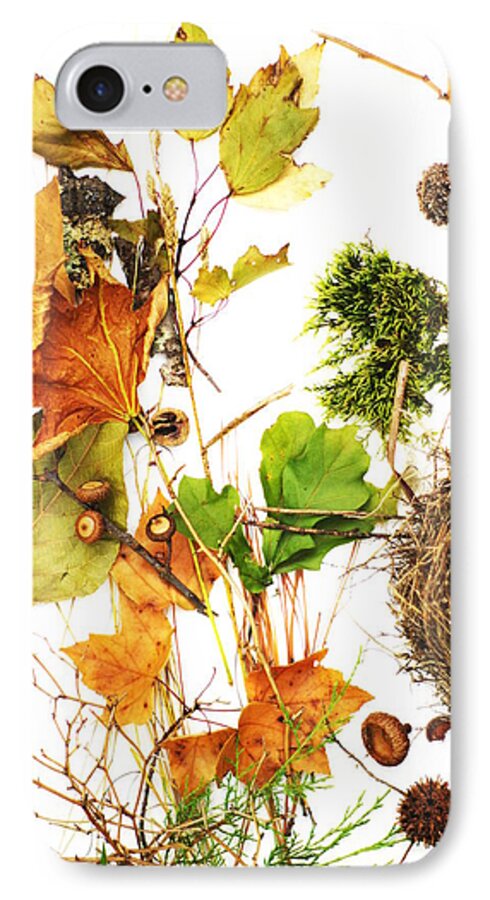 Acorn iPhone 7 Case featuring the photograph Woodsy Arrangement #2 by Suzanne Powers