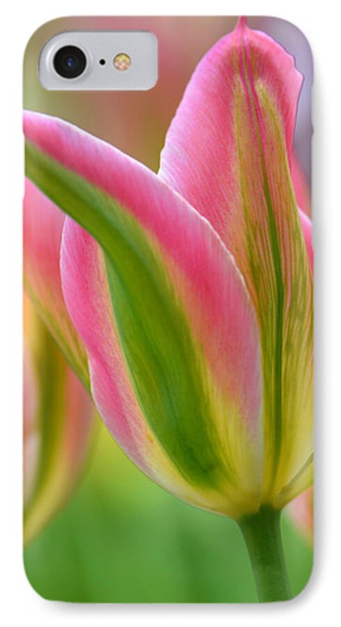 Floral iPhone 7 Case featuring the photograph 2.5 Tulip #25 by JoAnn Lense