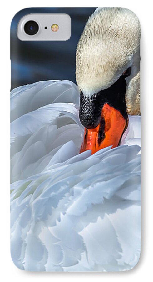 Alone iPhone 7 Case featuring the photograph Mute Swan #6 by Brian Stevens