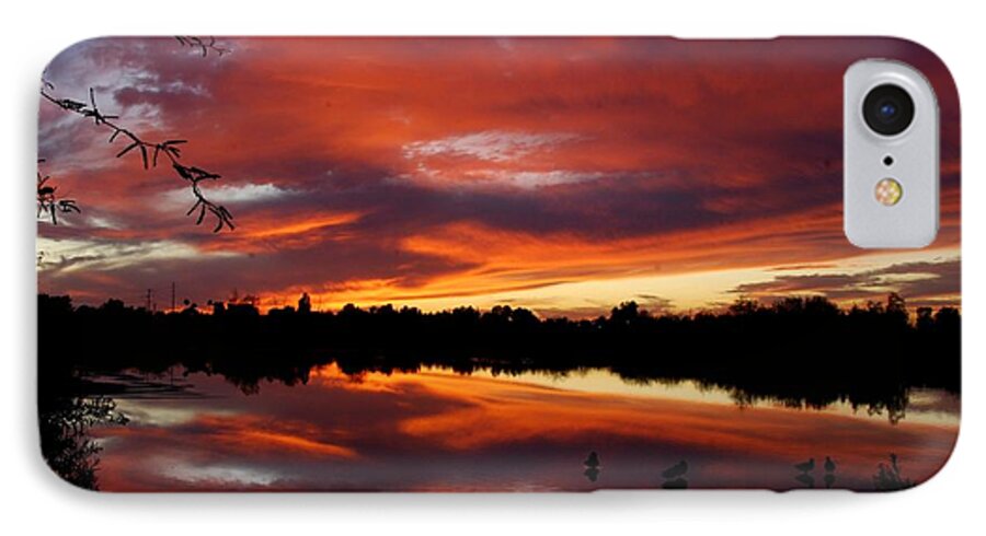 Sunset iPhone 7 Case featuring the photograph Riparian Sunset #1 by Tam Ryan
